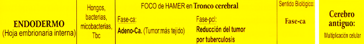 Tabla de ENDOdermo